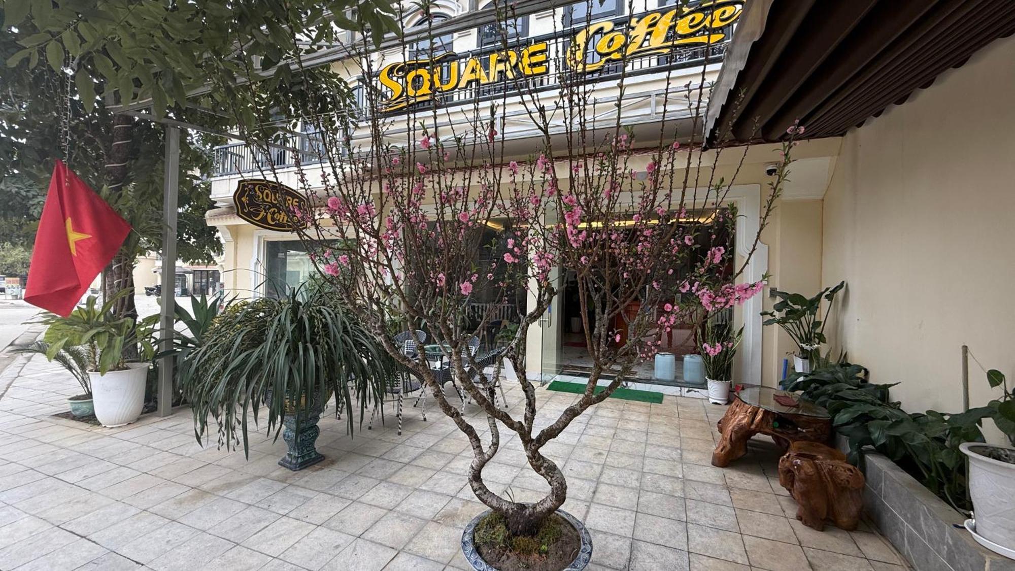 Square Homestay & Coffee Bac Ha  Εξωτερικό φωτογραφία